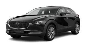 Mazda CX-30 e-SKYACTIV-G M-Hybrid 140 Exclusive-l Auto Abo