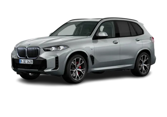 Angebotsdetails BMW X5 xDrive30d Skyscraper Grau metallic