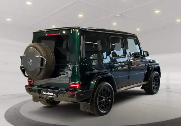 Angebotsdetails Mercedes-Benz G 450 d Professional-Edition Smaragdgruen