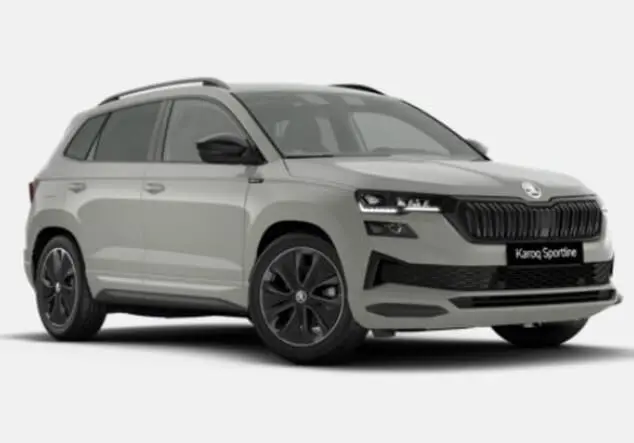 Angebotsdetails Skoda Karoq Skoda Karoq Sportline 2.0 TSI 7-Gang-DSG 140.00 kW (190 PS) Stahl Grau