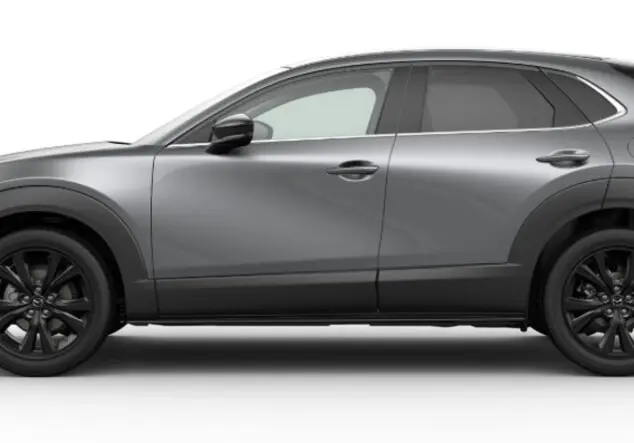 Angebotsdetails Mazda CX-30 2.5L e-SKYACTIV G 140PS 6AT HOMURA Machine Gray