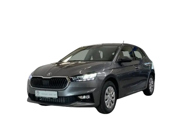 Angebotsdetails Skoda Fabia 1.0 TSI Selection KLIMA Grau (Graphite Grau Metallic)