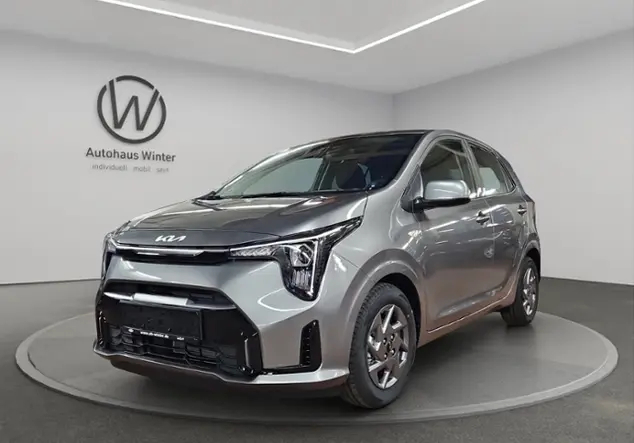 Angebotsdetails Kia Picanto Vision Grau ((M7G) ASTRO GREY M)