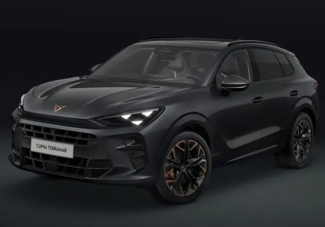 Angebotsdetails Cupra Terramar CUPRA Terramar VZ 2.0 TSI 195 kW (265 PS) 7-Gang 4Drive Timanfaya Grau