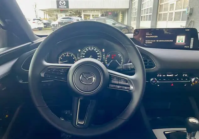 Angebotsdetails Mazda 3 3 150PS EXCLUSIVE*DRIVER+DESIGN* rot