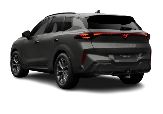 Angebotsdetails Cupra Terramar 1.5 eTSI MHEV 110kW Timanfaya Grau Metallic