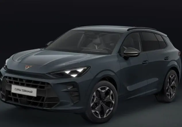 Angebotsdetails Cupra Terramar CUPRA Terramar VZ 2.0 TSI 195 kW (265 PS) 7-Gang 4Drive Fiord Blau