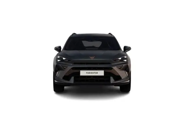 Angebotsdetails Cupra Formentor Cupra Formentor VZ 2.0 TSI 245 kW (333 PS) 7-Gang-DSG 4Drive Magnetic Grau Matt