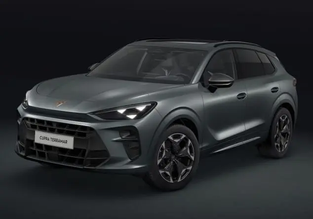 Angebotsdetails Cupra Terramar Cupra Terramar VZ 2.0 TSI 195 kW (265 PS) 7-Gang-DSG 4Drive Enceladus Grau Matt