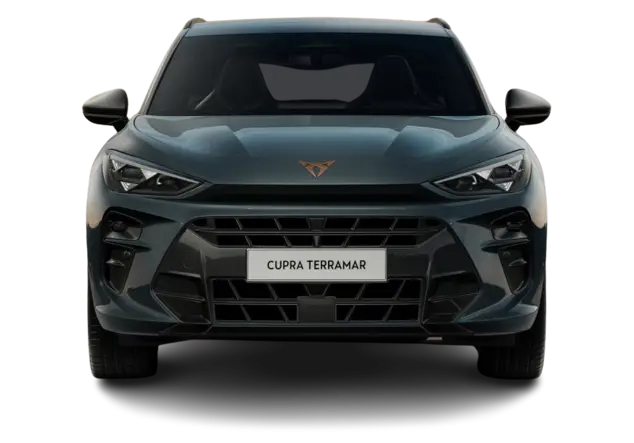 Angebotsdetails Cupra Terramar 2.0 TSI 195kW VZ 4Drive Fjord Blau Uni