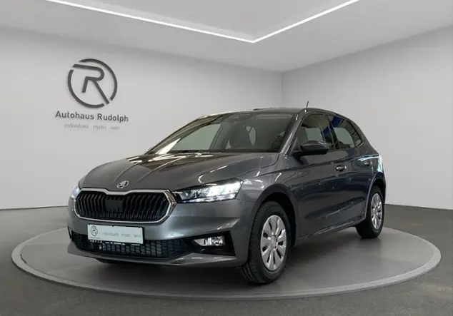 Angebotsdetails Skoda Fabia 1.0 TSI Selection KLIMA Grau (Graphite Grau Metallic)