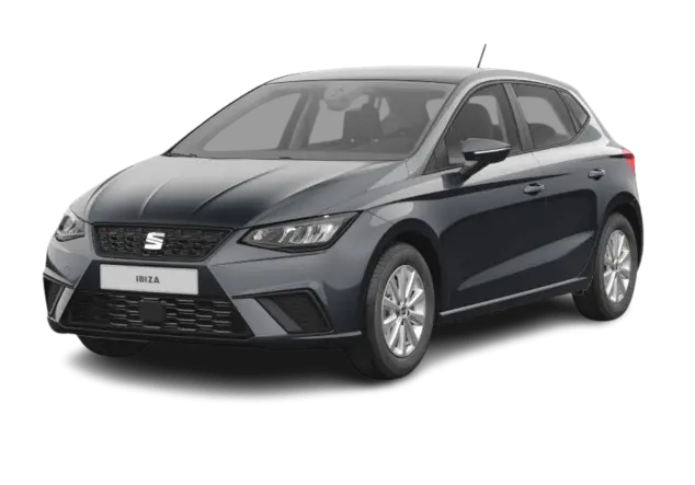 Angebotsdetails Seat Ibiza 1.0 TSI 85kW Style Edition Magnetic Grau Metallic