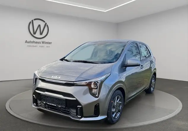 Angebotsdetails Kia Picanto Vision Grau ((M7G) ASTRO GREY M)
