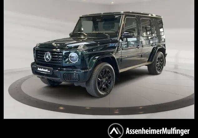 Angebotsdetails Mercedes-Benz G 450 d Professional-Edition Smaragdgruen