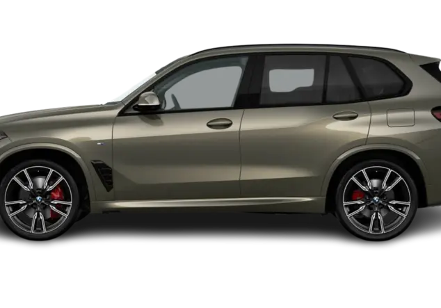 Angebotsdetails BMW X5 xDrive40d Manhattan Metallic
