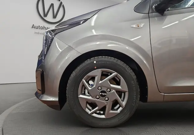 Angebotsdetails Kia Picanto Vision Grau ((M7G) ASTRO GREY M)