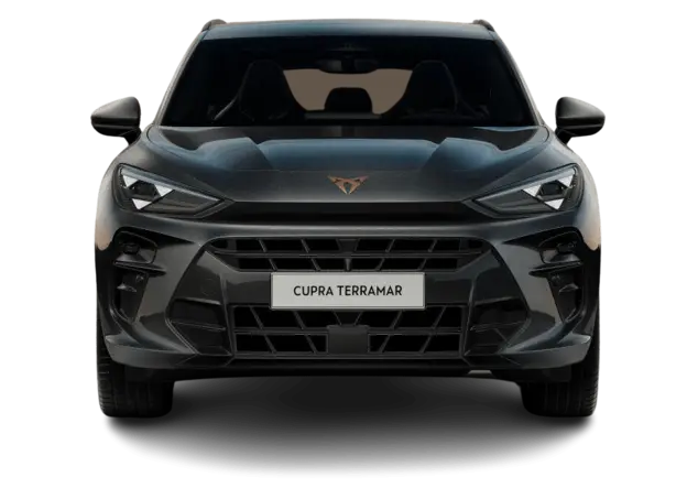Angebotsdetails Cupra Terramar 1.5 eTSI MHEV 110kW Timanfaya Grau Metallic