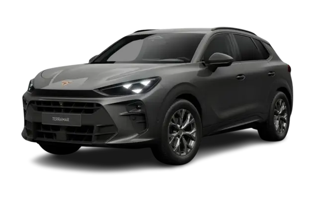 Angebotsdetails Cupra Terramar 1.5 eTSI MHEV 110kW Timanfaya Grau Metallic