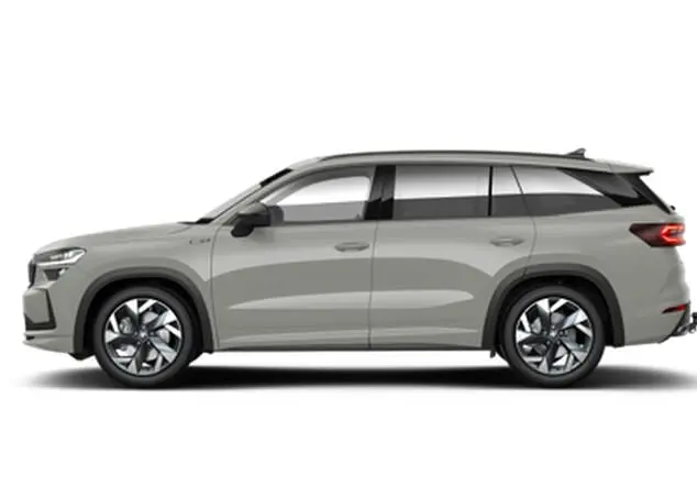Angebotsdetails Skoda Kodiaq Skoda Kodiaq Sportline 2.0 TSI 150 kW (204 PS) 7-Gang-DSG Stahl Grau