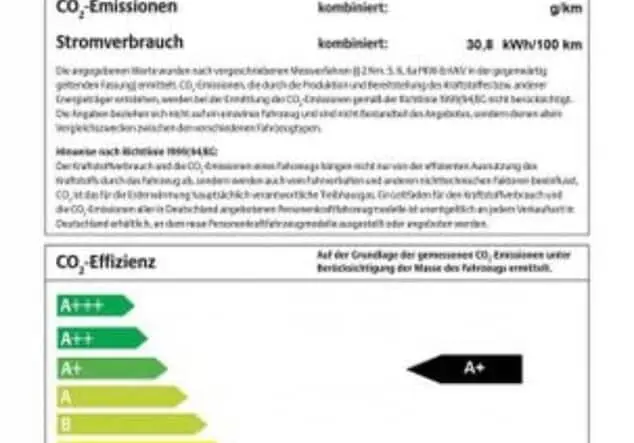 Angebotsdetails Fiat Ducato Elektro L2H2 verblecht Grau