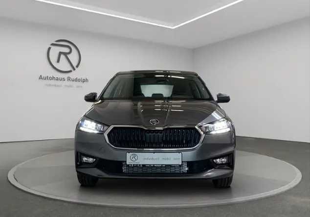 Angebotsdetails Skoda Fabia 1.0 TSI Selection KLIMA Grau (Graphite Grau Metallic)