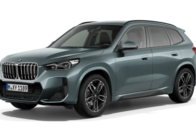 Angebotsdetails BMW X1 xDrive20d Steptronic Cape York Gruen Metallic