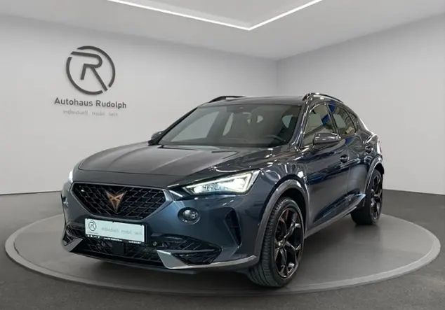 Angebotsdetails Cupra Formentor e-Hybrid 1.4 TSI / Grau (Magnetic Tech)