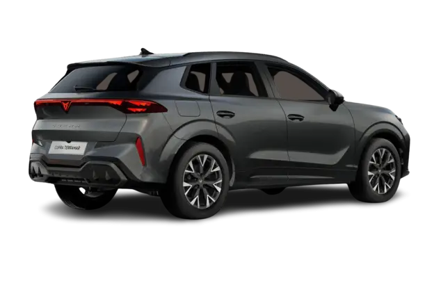 Angebotsdetails Cupra Terramar 1.5 eTSI MHEV 110kW Timanfaya Grau Metallic