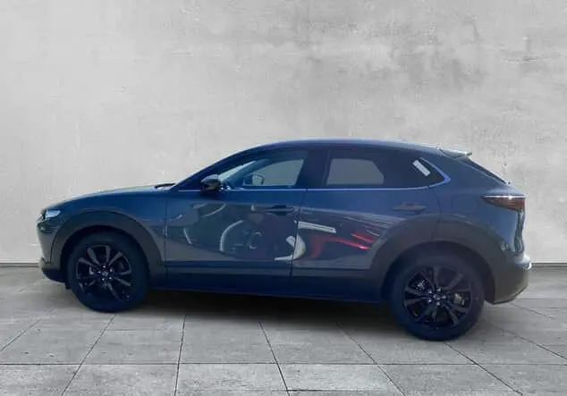 Angebotsdetails Mazda CX-30 HOMURA 2.5L e-SKYACTIV 140 OS 6AT Verschiedene Farben