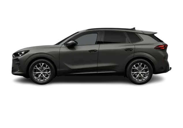 Angebotsdetails Cupra Terramar 1.5 eTSI MHEV 110kW Timanfaya Grau Metallic