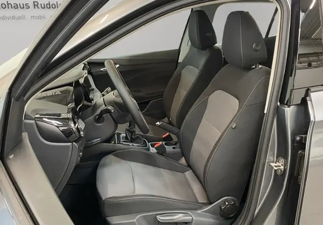 Angebotsdetails Skoda Fabia 1.0 TSI Selection KLIMA Grau (Graphite Grau Metallic)