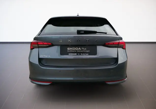 Angebotsdetails Skoda Octavia Graphite-Grau