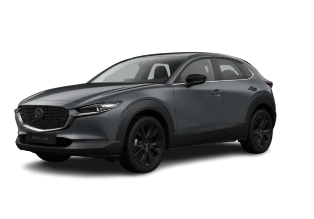 Angebotsdetails Mazda CX-30 2.5L e-SKYACTIV G 140 PS 6MT HOMURA Machine Gray
