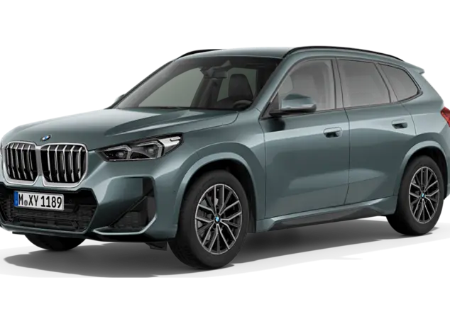 Angebotsdetails BMW X1 sDrive20i Steptronic Cape York Gruen Metallic