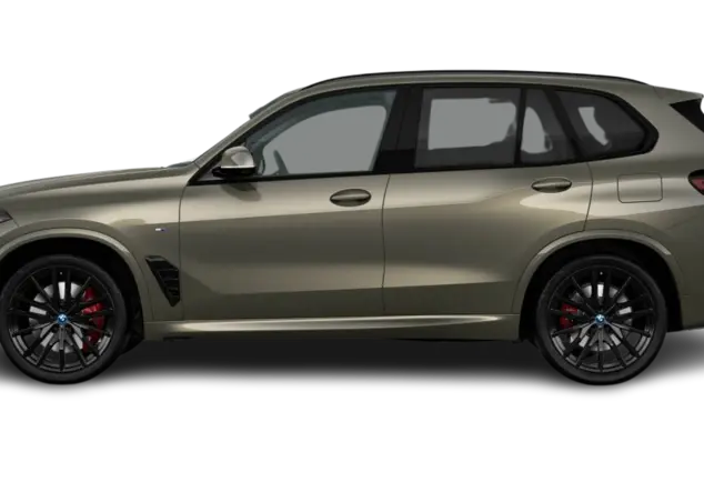 Angebotsdetails BMW X5 xDrive50e Manhattan Metallic