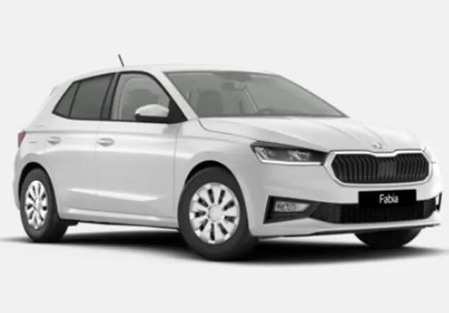 Angebotsdetails Skoda Fabia Skoda Fabia Seleciton 1.0 TSI 85 kW (116 PS) 6-Gang Moon-Weiß Metallic