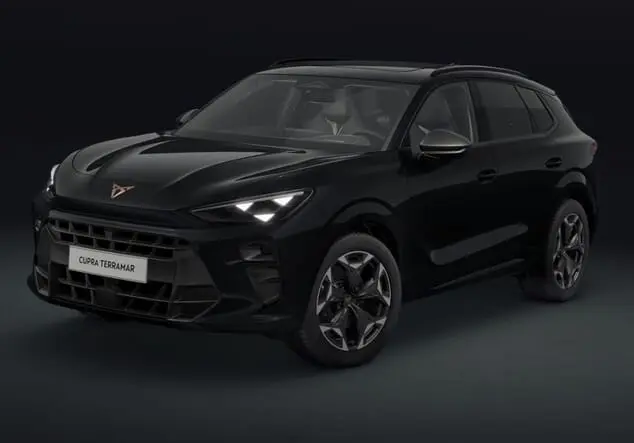 Angebotsdetails Cupra Terramar CUPRA Terramar VZ 2.0 TSI 195 kW (265 PS) 7-Gang 4Drive Midnight Schwarz