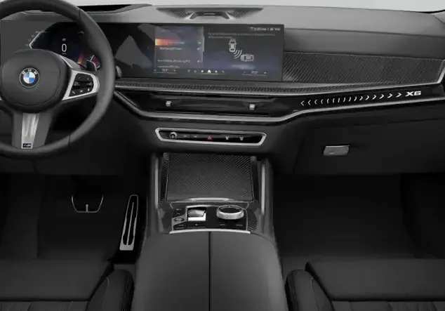 Angebotsdetails BMW X6 xDrive 40d Frozen Pure Grey Metallic