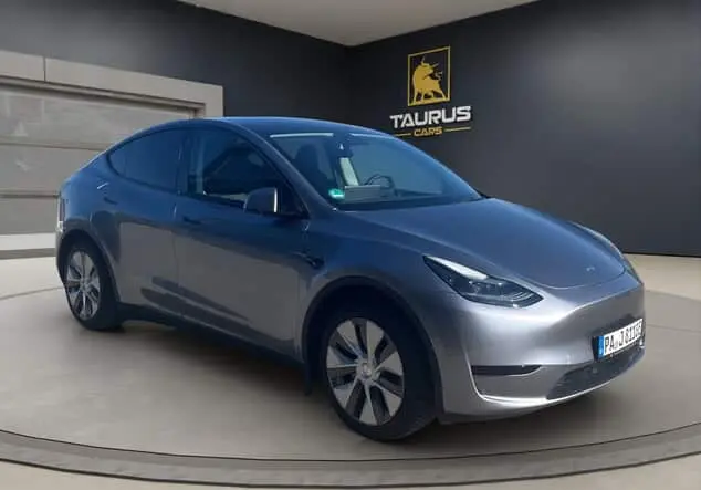 Angebotsdetails Tesla Model Y Quicksilver