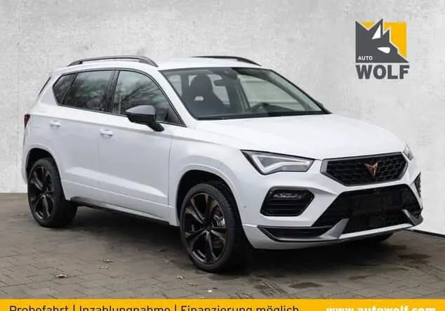 Angebotsdetails Cupra Ateca 1.5 TSI *Navi*SHZ*Kamera 