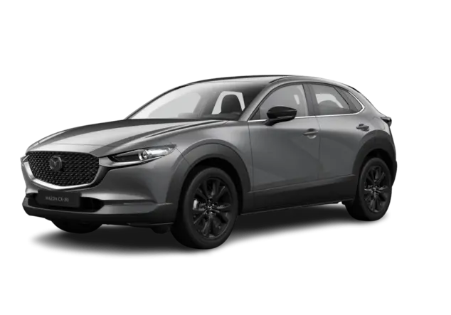Angebotsdetails Mazda CX-30 2.5L e-SKYACTIV G 140PS 6AT HOMURA Machine Gray