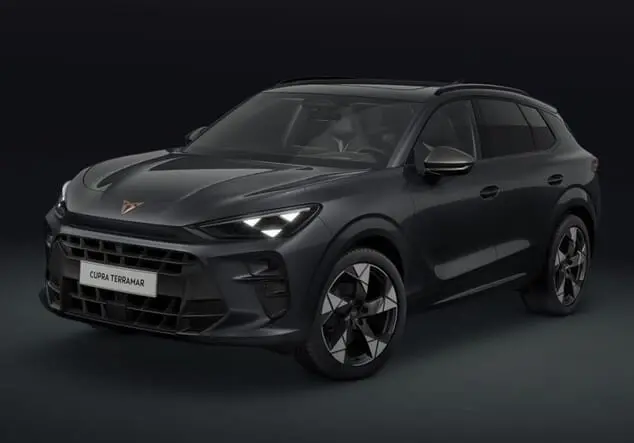 Angebotsdetails Cupra Terramar Cupra Terramar 1.5 eTSI 110 kW (150 PS) 7-Gang-DSG Timanfaya Grau