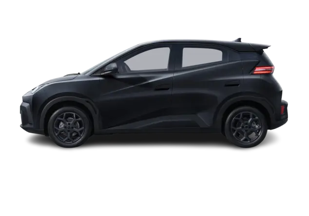 Angebotsdetails BYD Dolphin Surf 43.2kWh Comfort Polar night black