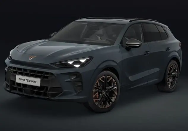 Angebotsdetails Cupra Terramar CUPRA Terramar VZ 2.0 TSI 195 kW (265 PS) 7-Gang 4Drive Graphene Grau