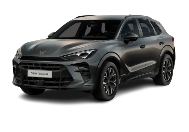 Angebotsdetails Cupra Terramar 1.5 eTSI MHEV 110kW Timanfaya Grau Metallic