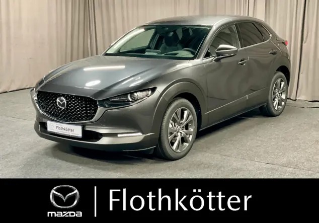 Angebotsdetails Mazda CX-30 CX-30 G150 AUTO SELECTION*DESIGN+PREMIUM grau