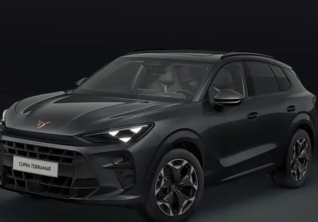 Angebotsdetails Cupra Terramar CUPRA Terramar VZ 2.0 TSI 195 kW (265 PS) 7-Gang 4Drive Timanfaya Grau