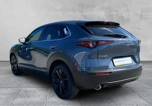 Angebotsdetails Mazda CX-30 HOMURA 2.5L e-SKYACTIV 140 OS 6AT Verschiedene Farben