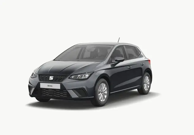 Angebotsdetails Seat Ibiza Magnetic Grau Metallic