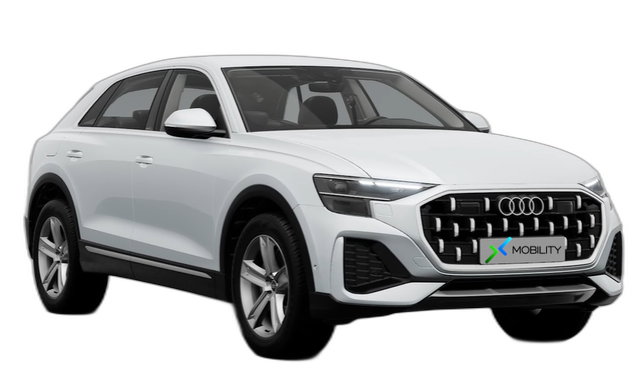 Angebotsdetails Audi Q8 advanced 50 e-tron Silber/Grau